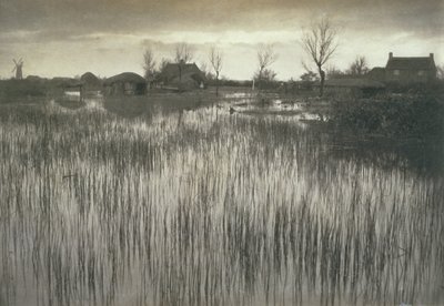 Ein schilfiges Ufer, Leben und Landschaft auf den Norfolk Broads, ca. 1886 von Peter Emerson und Thomas Goodall